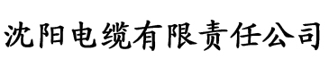 草莓视频色版APP在线观看电缆厂logo